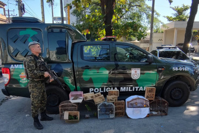 Policiais do CPAM apreendem pássaros silvestres, jabutis e saguis na Feira de Areia Branca em Belford Roxo