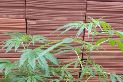 Operação policial prende chefe de facção