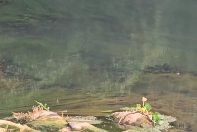 Pesquisador diz que água com cheiro e gosto estranhos não causam doenças