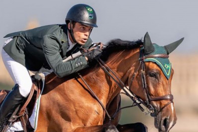 Rodrigo Pessoa e Stephan Barcha avançam para final do salto individual no hipismo em Paris