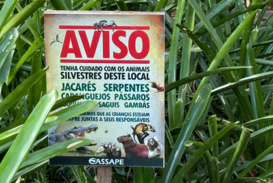 Construção de condomínio de luxo na Barra ameaça fauna no bairro