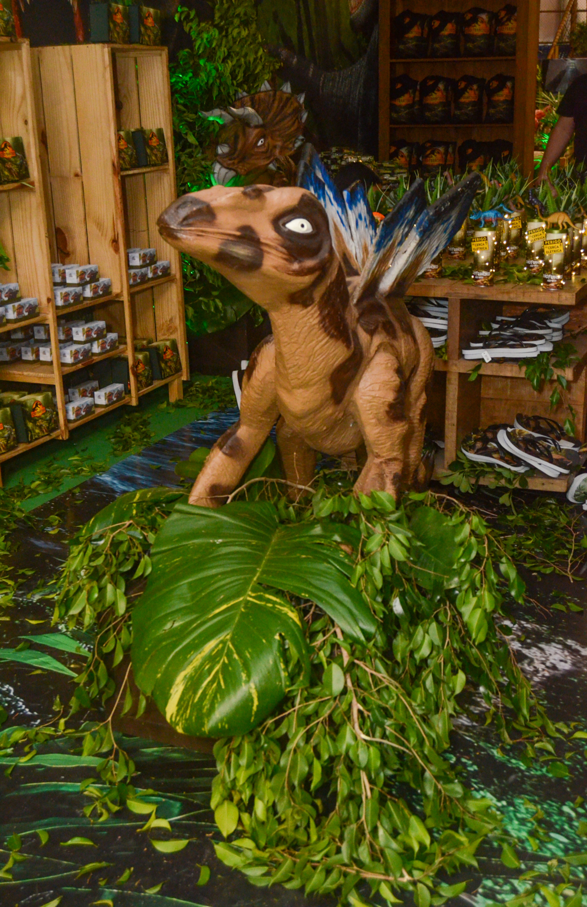 Wanessa Camargo faz festão para comemorar aniversário de 10 anos do filho - Araujo / Agnews