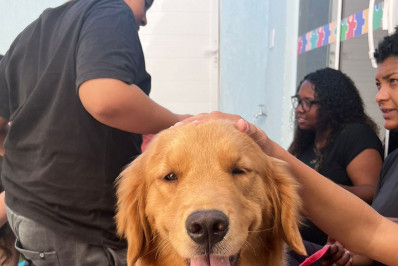 Cadela Bonnie melhora comunicação e autoestima de crianças na Casa do Autista em Arraial