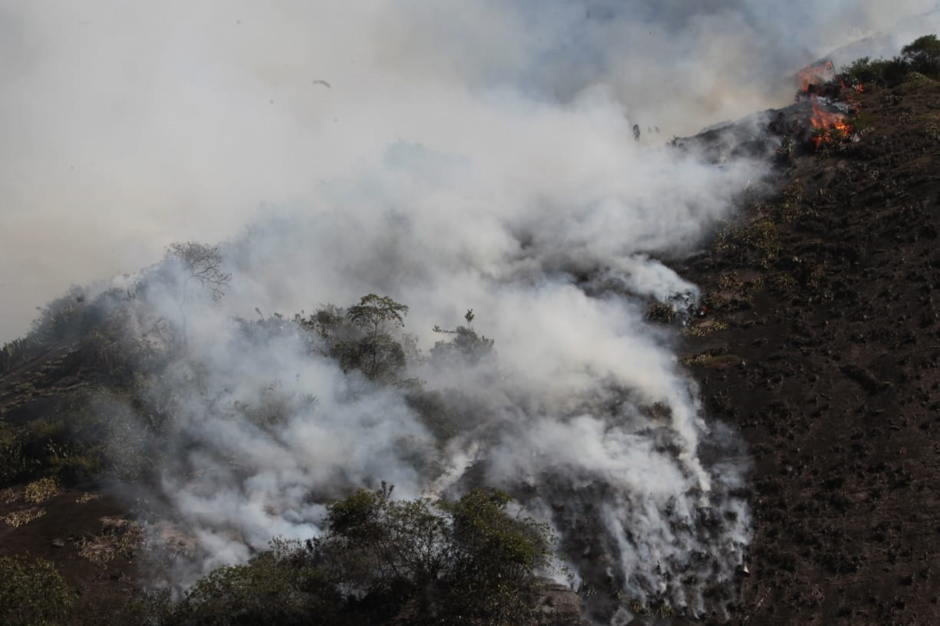 Até as 13h51, não havia registro de vítimas no incêndio no Pavão-Pavãozinho - Reginaldo Pimenta/Agência O Dia
