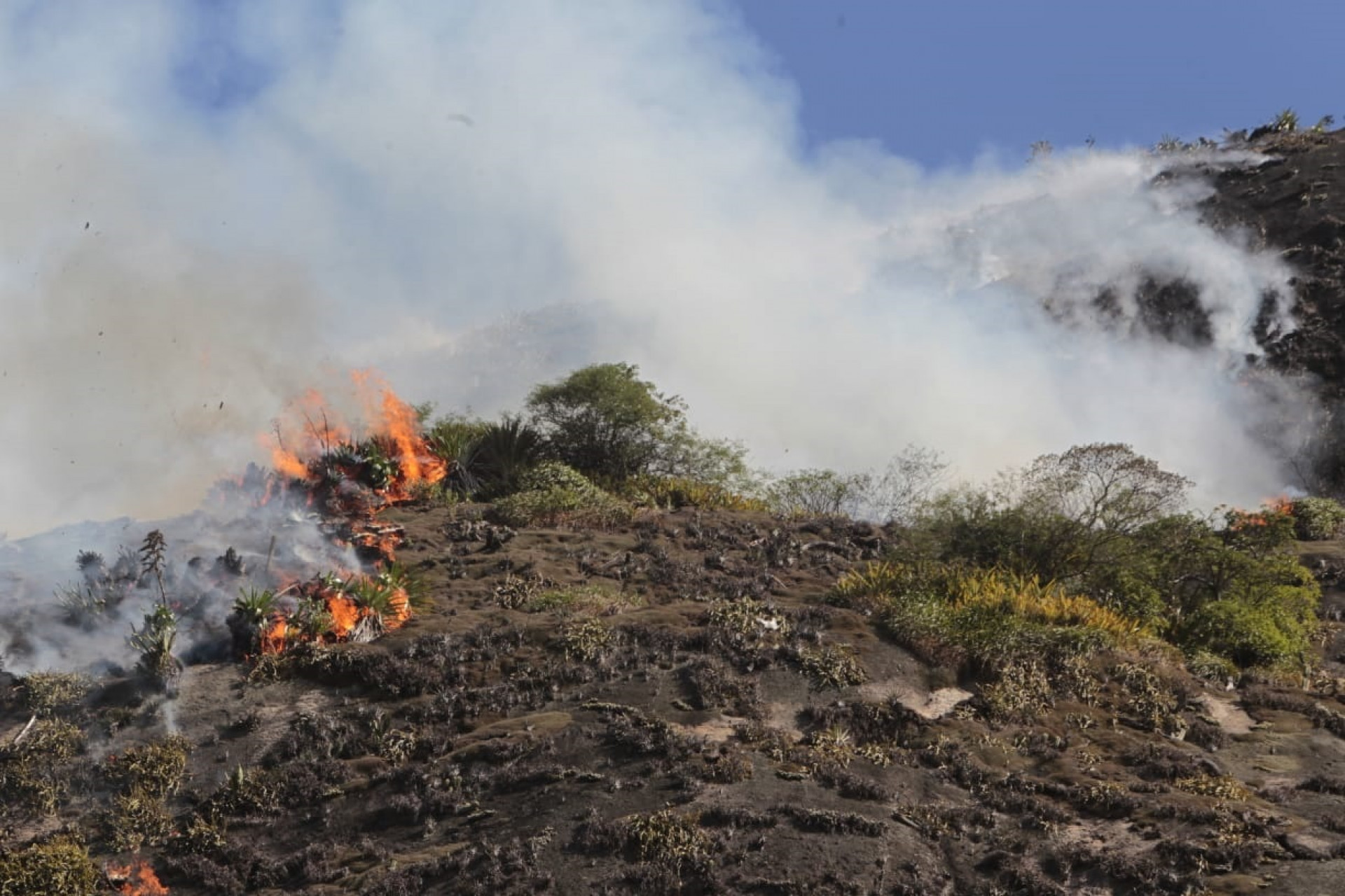 Segundo os bombeiros, a área em chamas é de difícil acesso - Reginaldo Pimenta/Agência O Dia