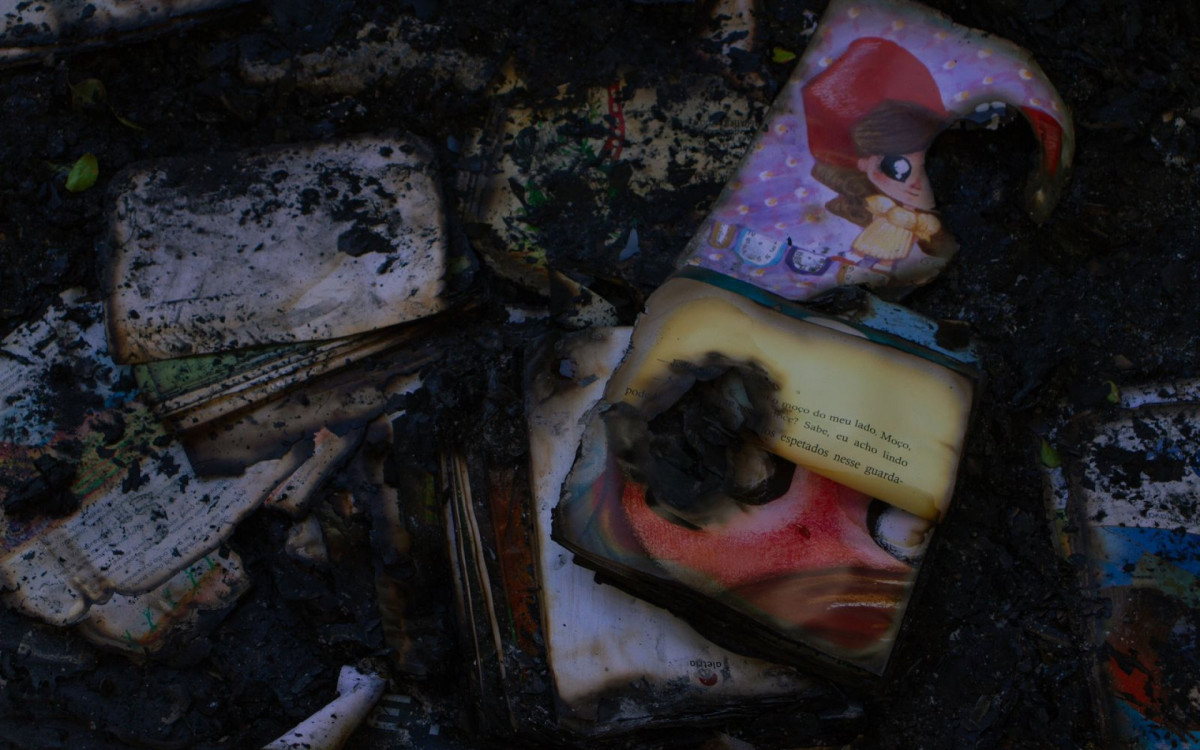 Mais de mil livros foram destruídos pelas chamas - Arquivo Pessoal / Juliana Lacerda
