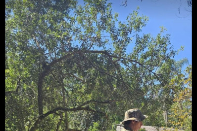 Policiais da 4ª UPAm identificam aterramento de manguezal na Ilha Grande