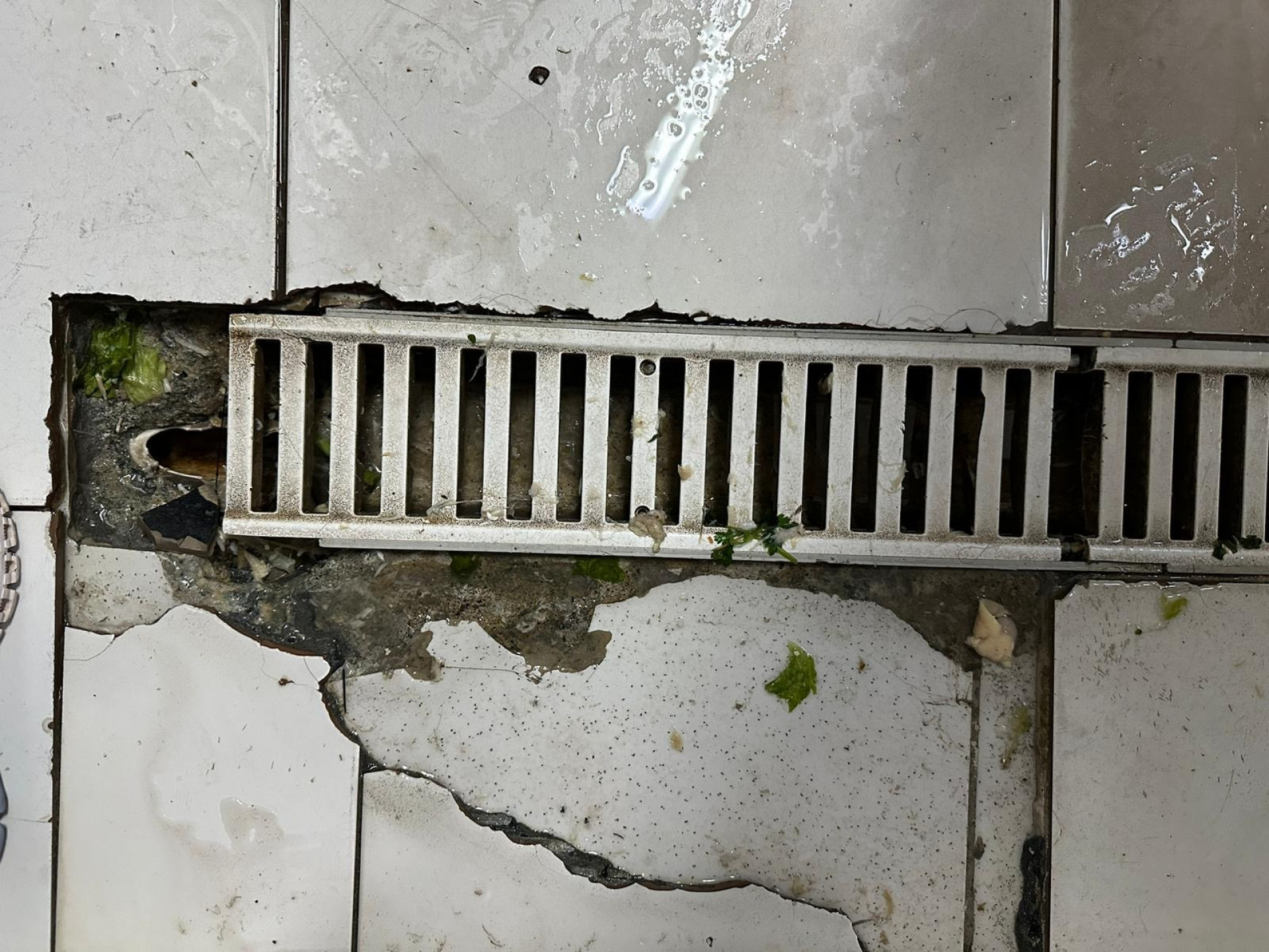 Problemas estruturais também foram detectados - Divulgação/Procon-RJ