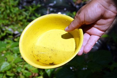 Índice de infestação do mosquito da dengue cai pela segunda vez em Volta Redonda