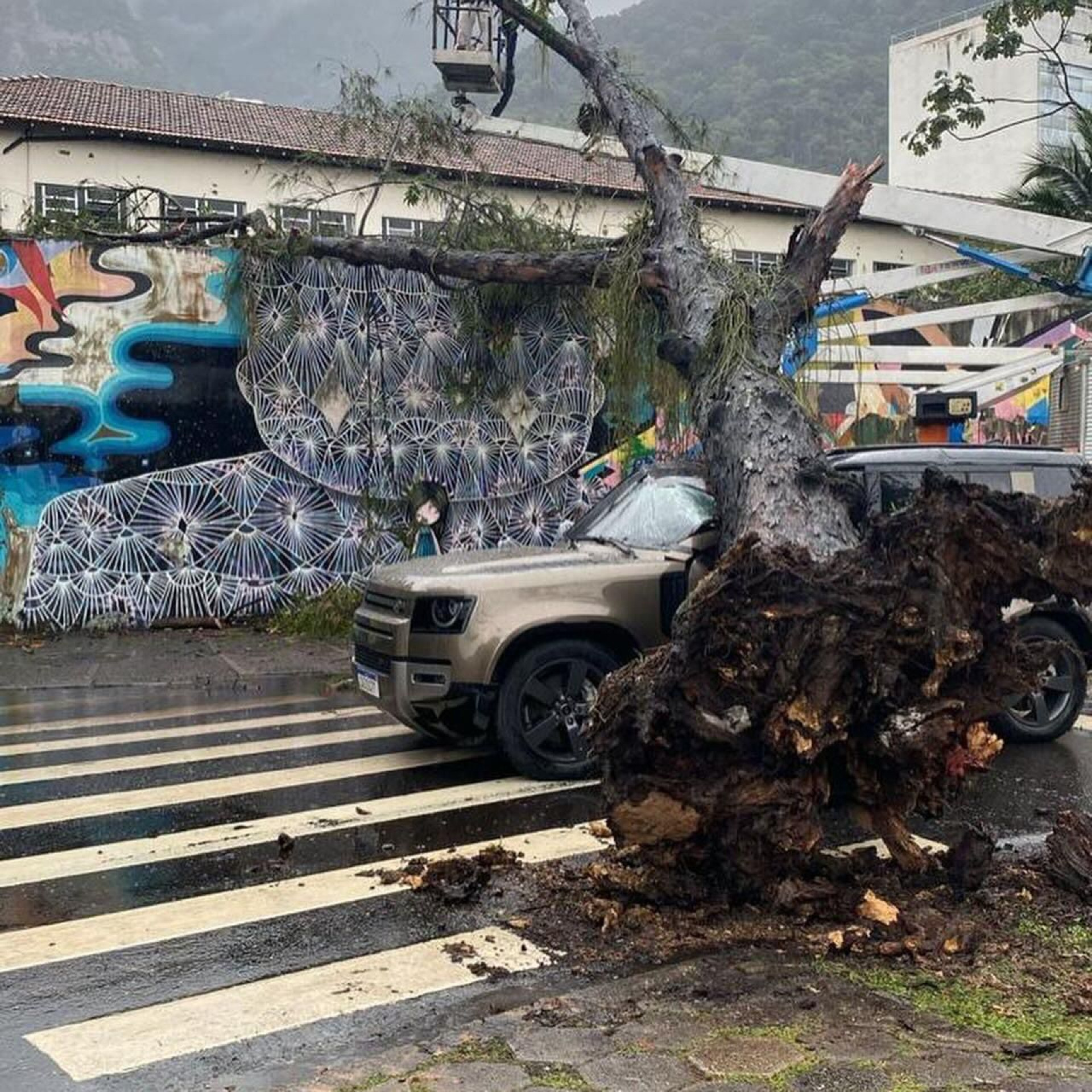 Árvore atingiu carro na Avenida Borges de Medeiros, no Jardim Botânico
