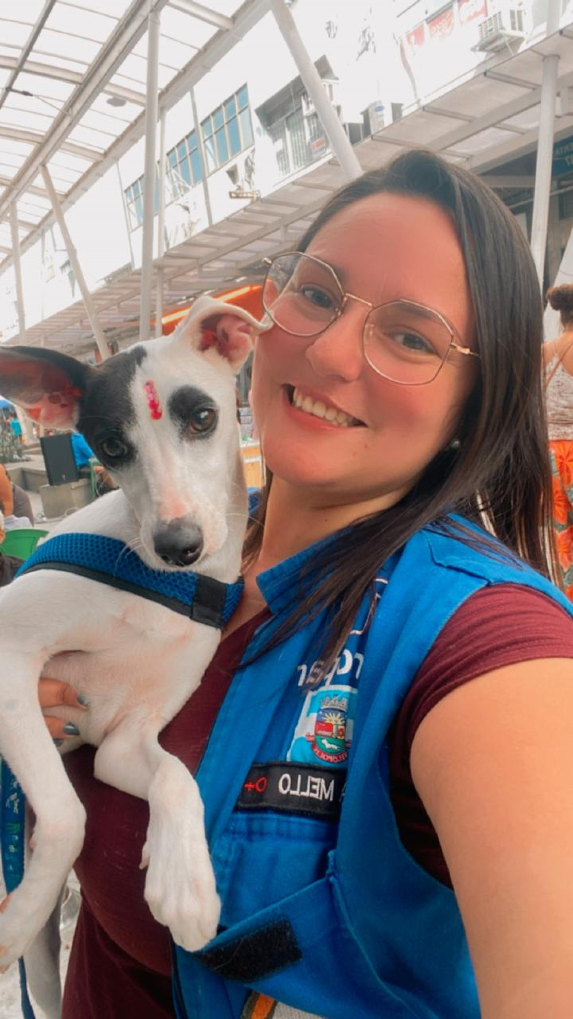 Amanda Mello, superintendente municipal de Proteção Animal, afirmou que o objetivo é diminuir a quantidade de animais abandonados e auxiliar na saúde dos bichos