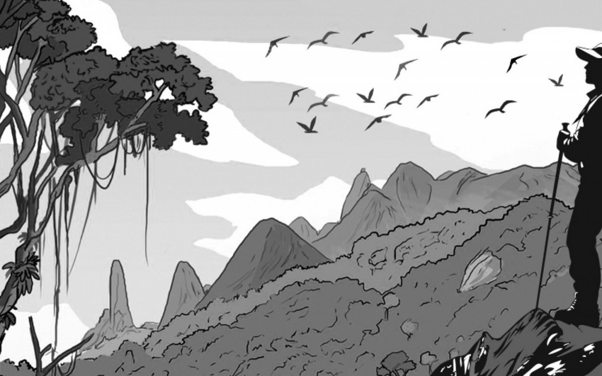 Arte coluna opinião 14 agosto 2024