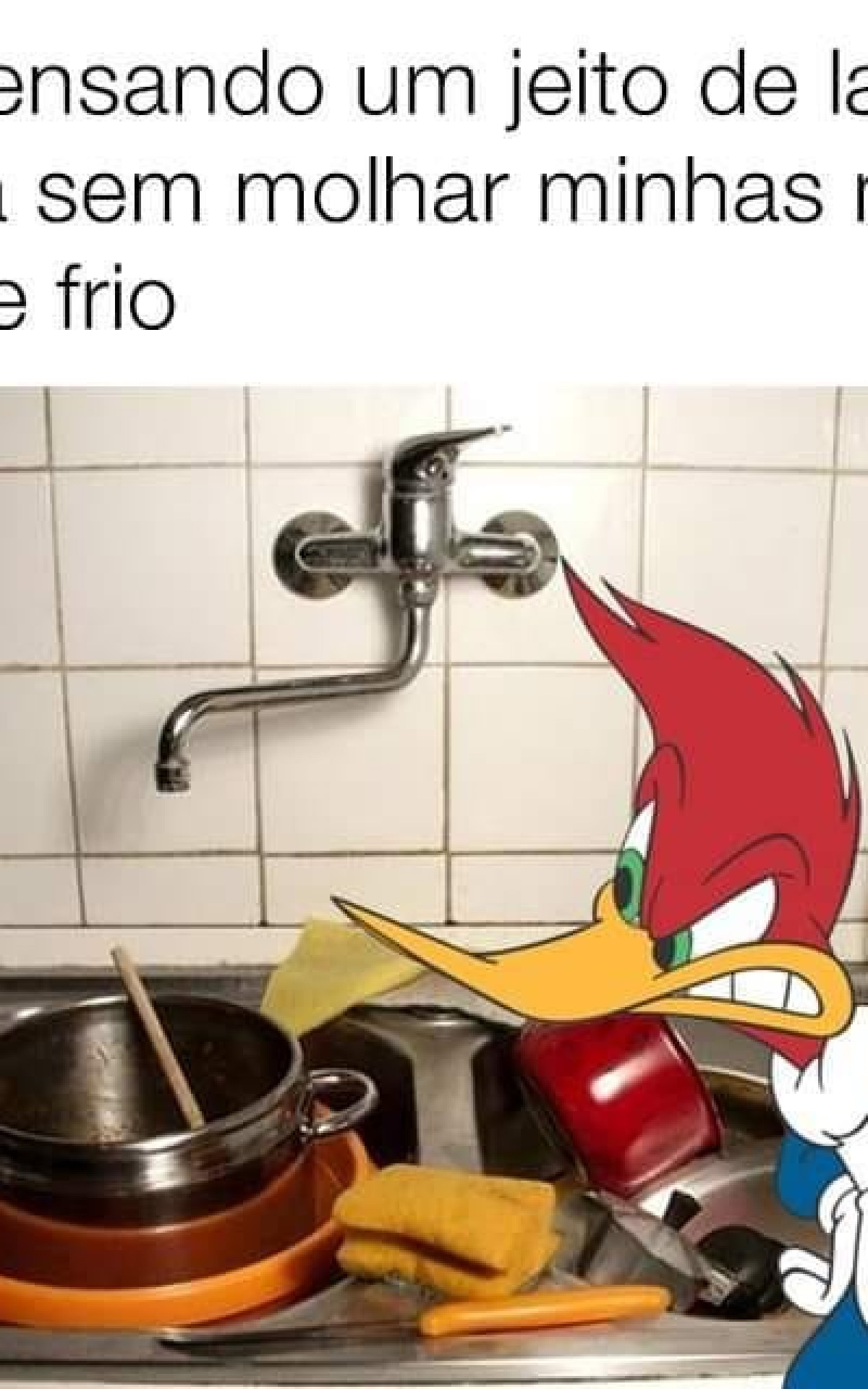 Meme feito por internautas sobre a frente fria que atinge o Rio