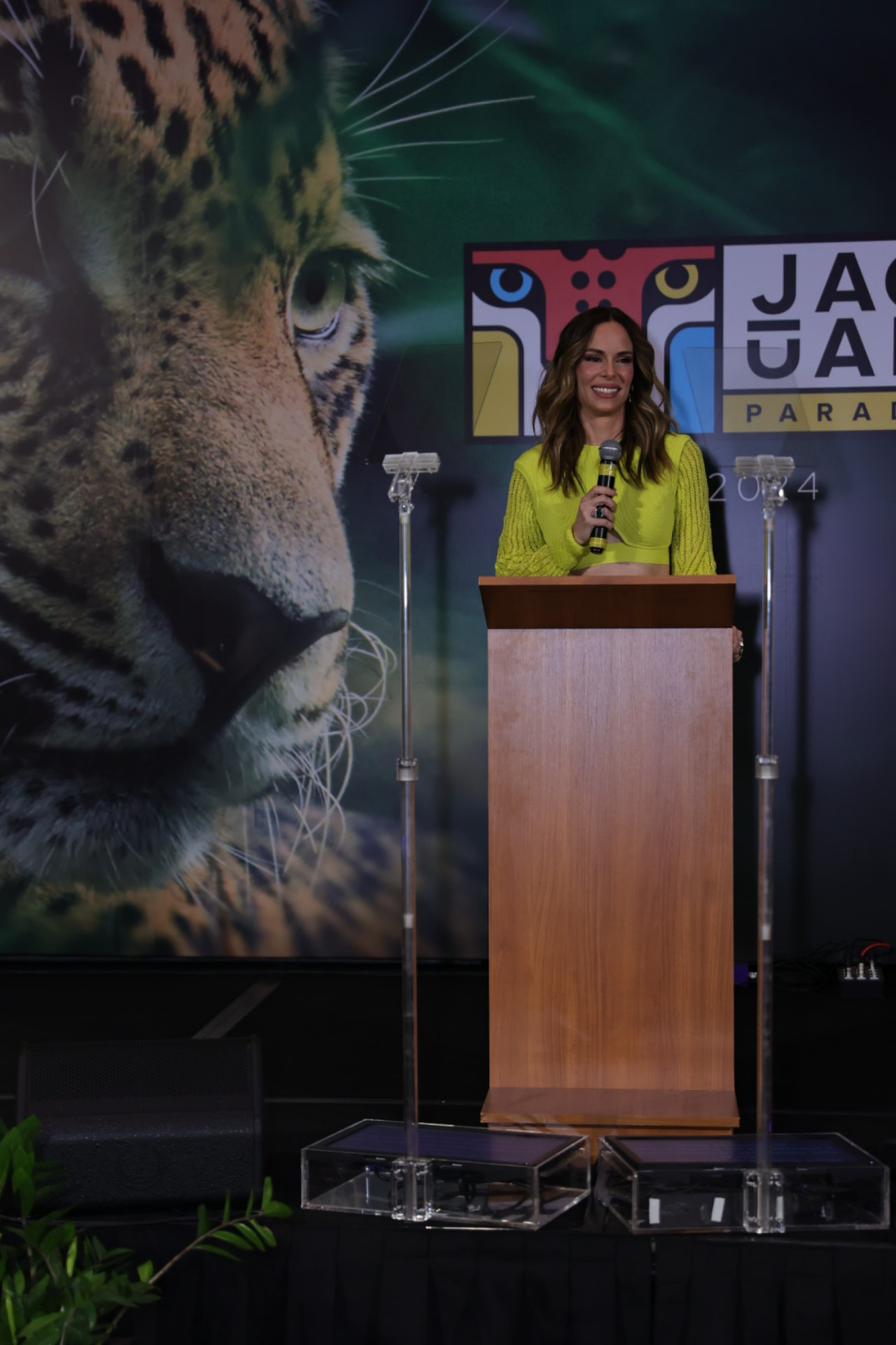 Ana Furtado - Anderson Bordê / AgNews