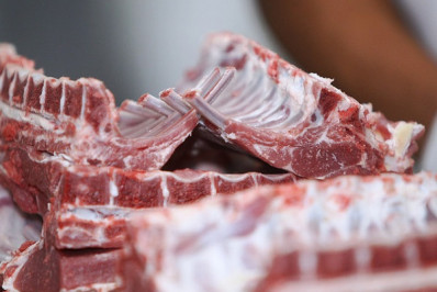 Egito abre mercado para carne bovina com osso do Brasil