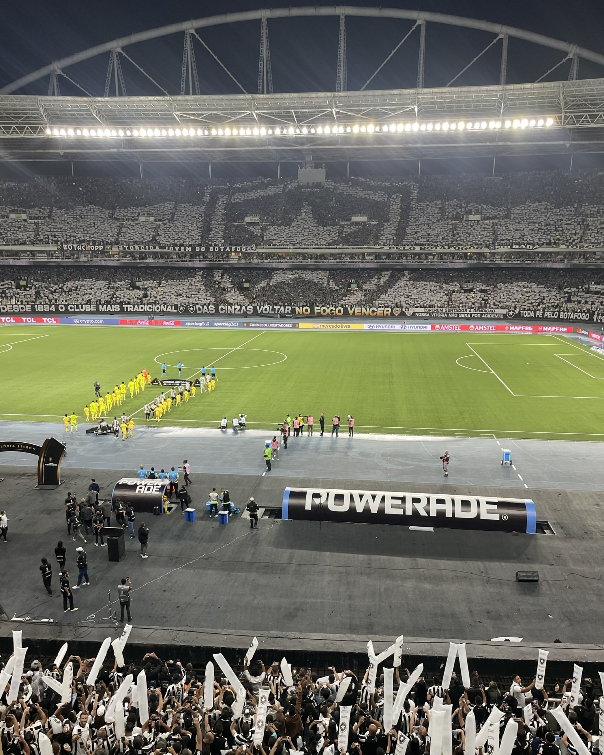 Mosaico da torcida do Botafogo - Divulgação/Botafogo