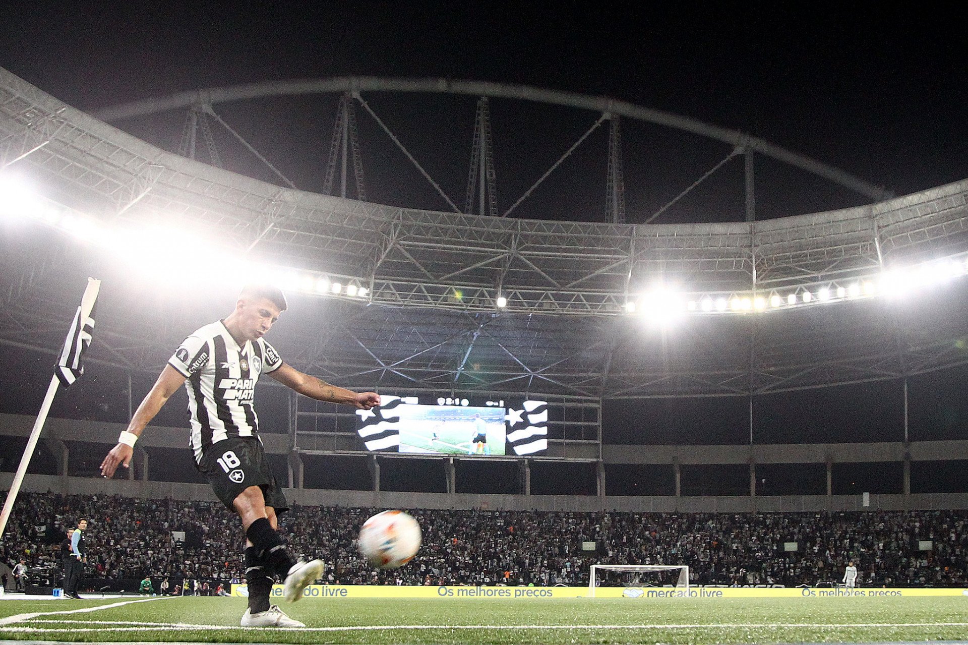  - Divulgação/Botafogo