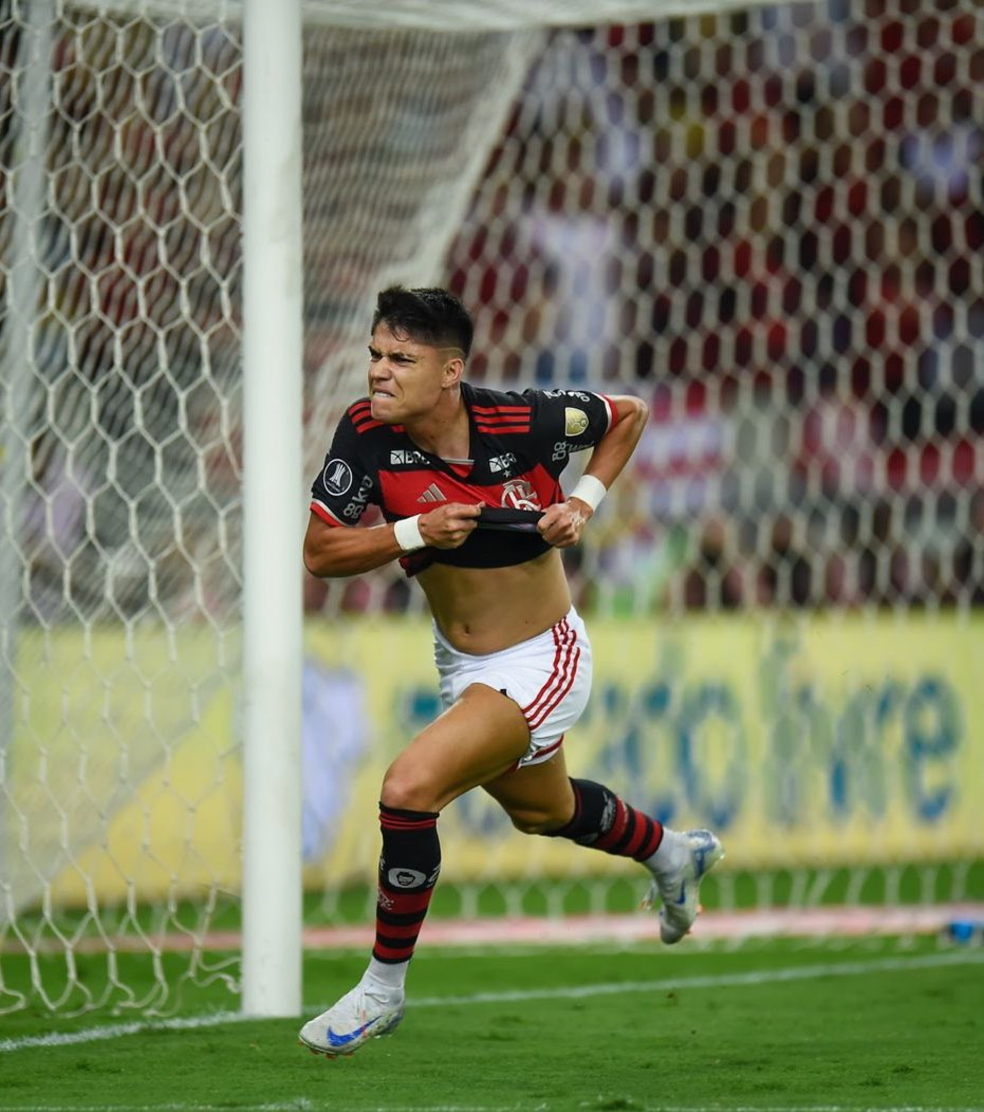 Luiz Ara&uacute;jo comemorando o gol que abriu os caminhos para a vit&oacute;ria do Flamengo sobre o Bol&iacute;var - Divulga&ccedil;&atilde;o/Flamengo
