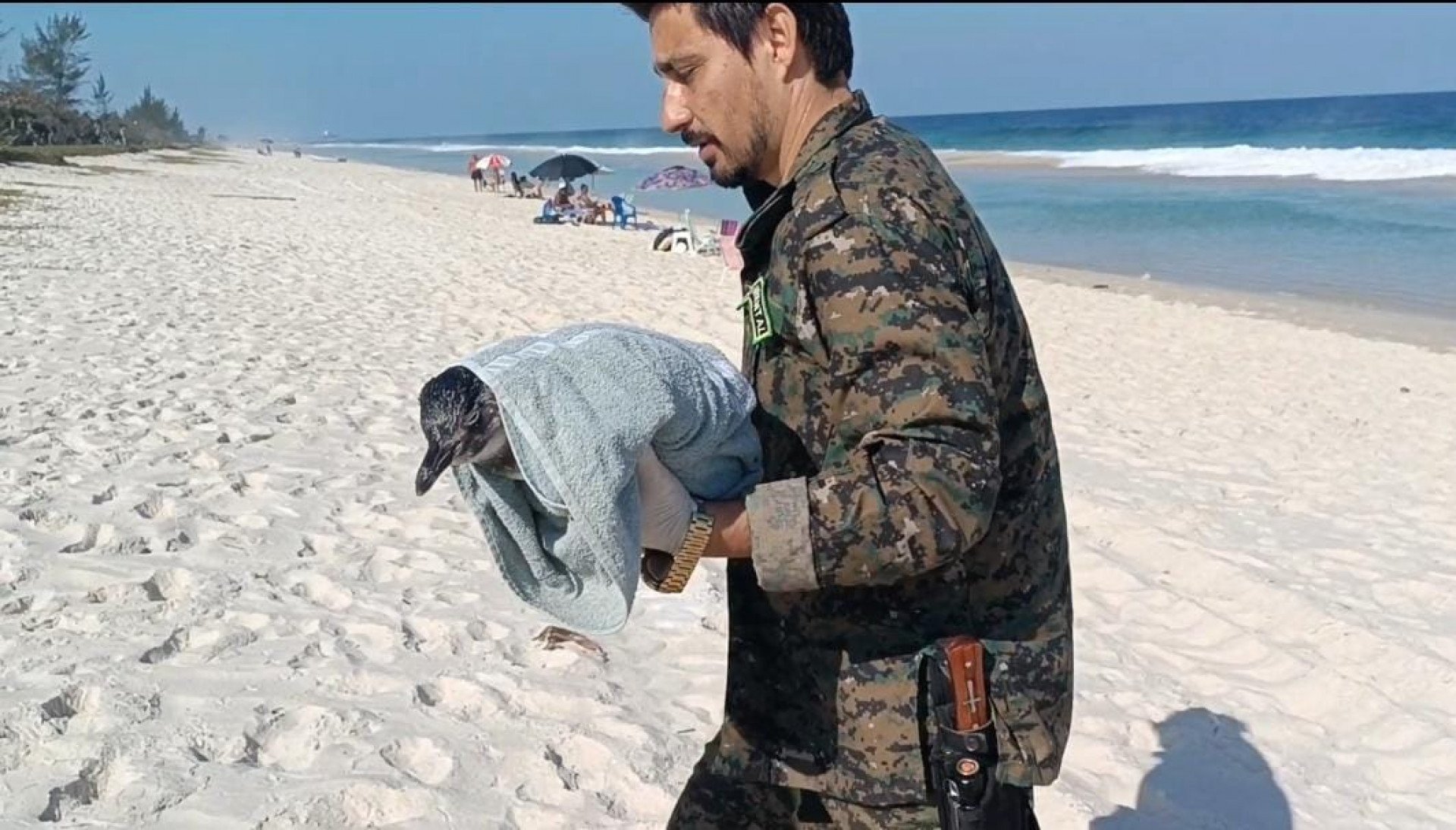  - Divulgação/Guarda Ambiental de Saquarema 