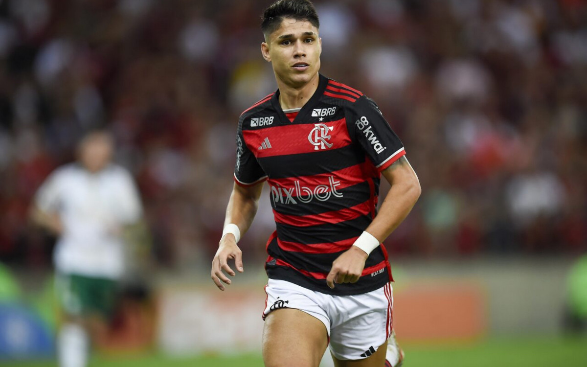 N&uacute;meros demonstram import&acirc;ncia de Luiz Ara&uacute;jo ao Flamengo. Confira!