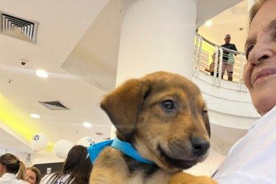 Feira de Adoção de Pet acontece na Região Oceânica