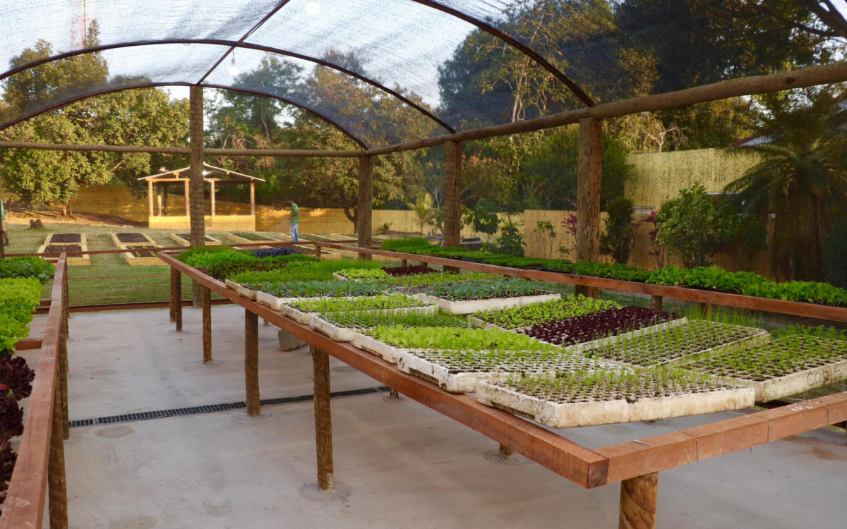 Inauguração da Escola Bilíngue Municipal com Orientação em Agronegócio e Turismo Rural 