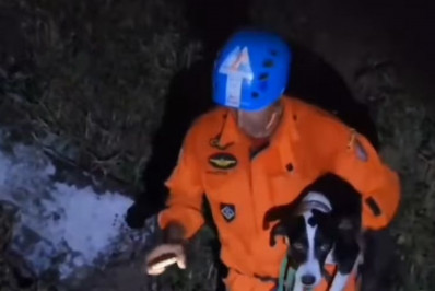 Cão é resgatado após ficar quatro dias preso em pedra de Santa Maria Madalena