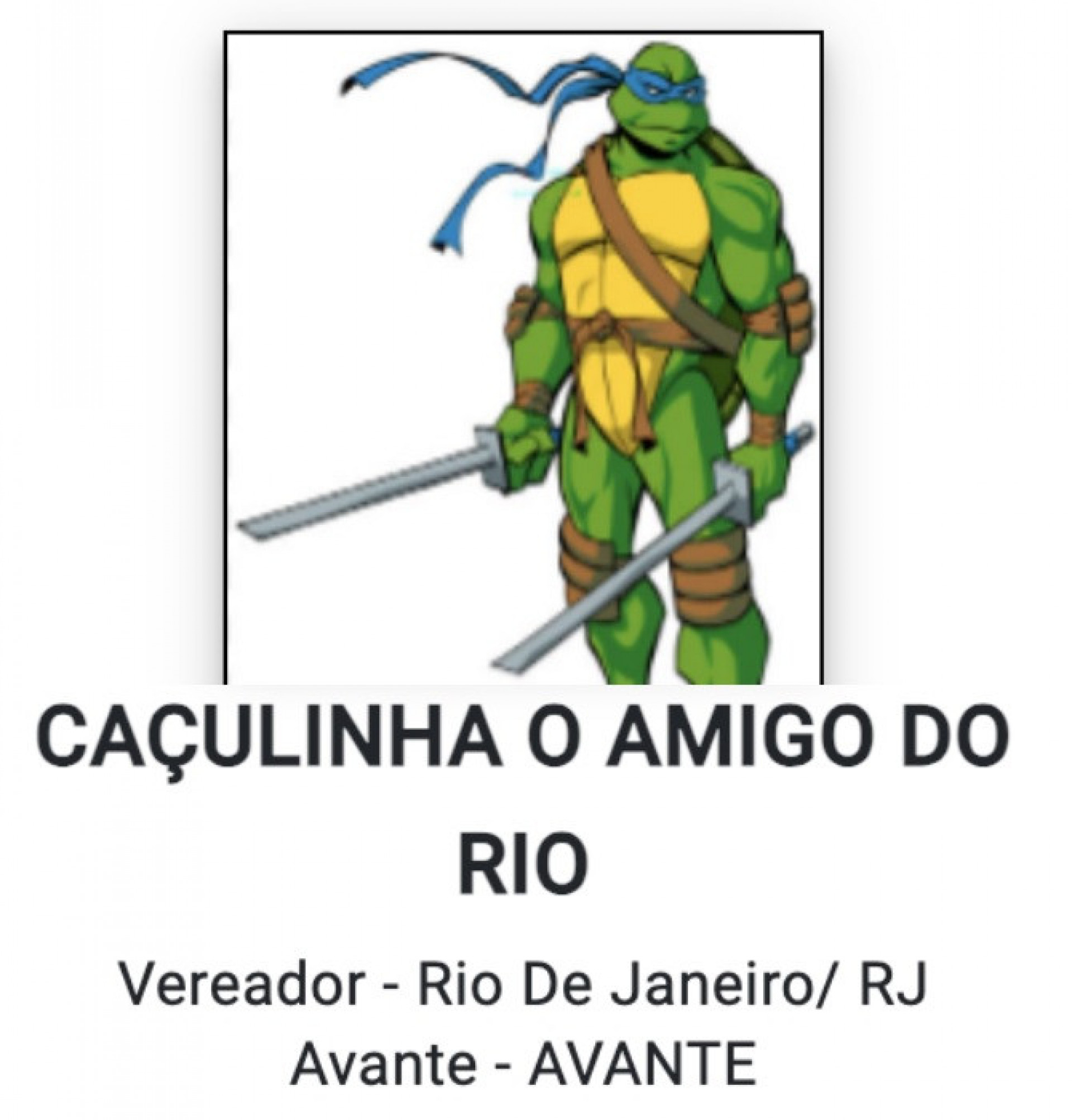 Caçulinha O Amigo do Rio (Avante) - Divulgação / TRE