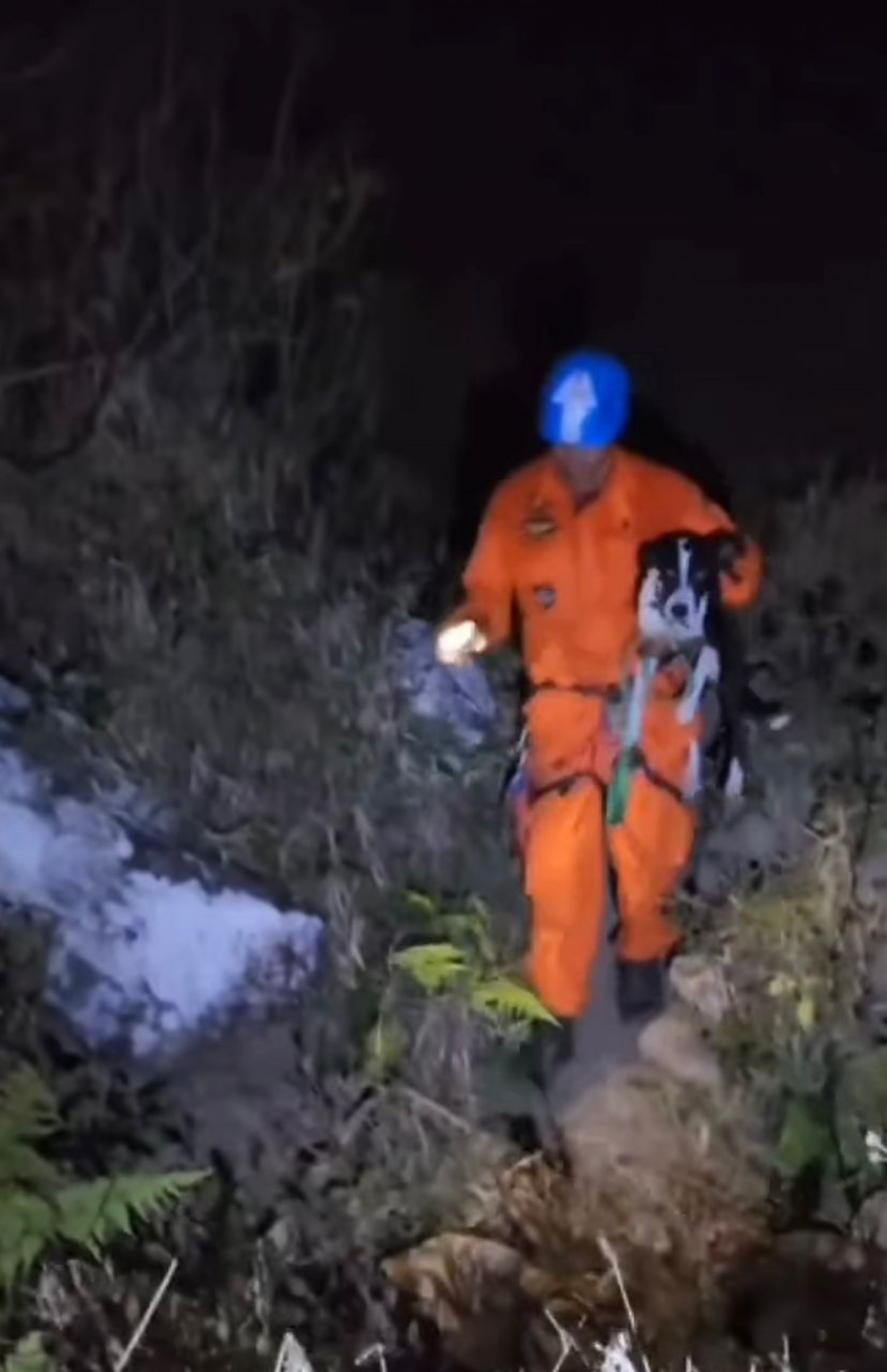 Cachorro, de 6 anos, ficou quatro dias preso em pedra de Santa Maria Madalena