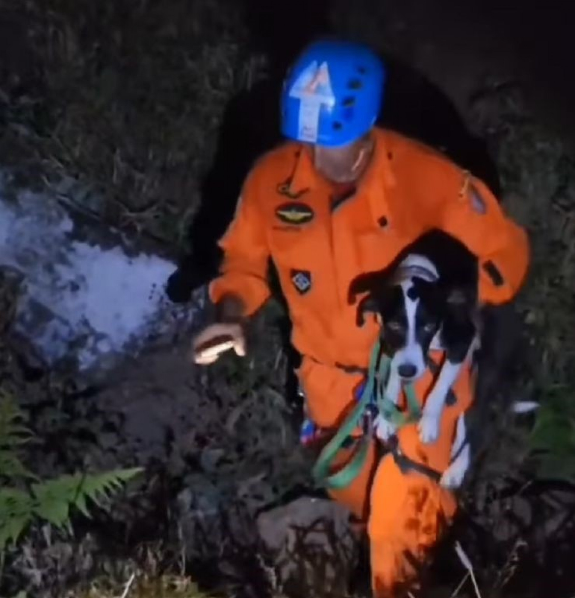 Cachorro, de 6 anos, ficou quatro dias preso em pedra de Santa Maria Madalena