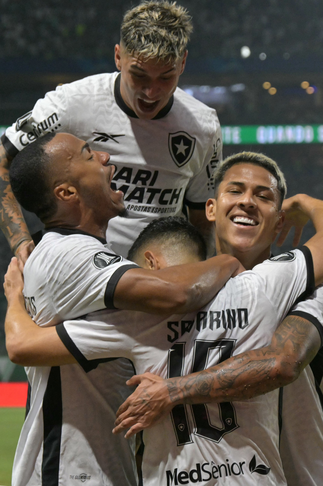 Jogadores do Botafogo vibram após gol no jogo contra o Palmeiras - Nelson Almeida/AFP