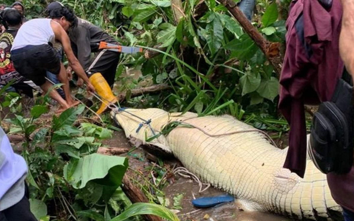 Chinelo e parte do corpo da vítima foram vistos na água