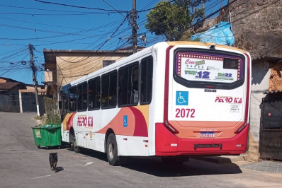 Petro Ita volta a circular e Cidade Real mantém operação em linhas do Alto da Serra e Morin