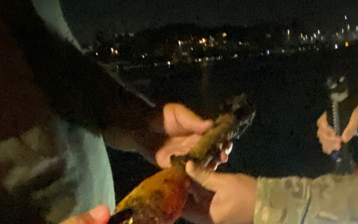 Explosivo encontrado por mergulhador na Praia da Urca - Rede Social