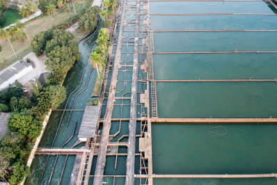 Cedae adia manutenção preventiva anual do Sistema Guandu-Lameirão