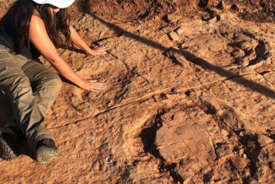 Pegadas de dinossauro de 125 milhões de anos são encontradas no interior da PB