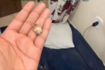 Moradora diz que casa foi atingida por tiro em sétimo dia de operação na Maré