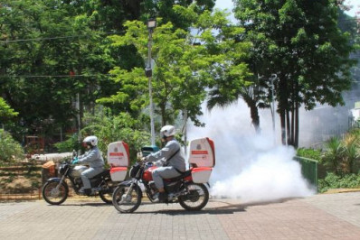 Combate ao Aedes aegypti em 27 localidades no final de Agosto