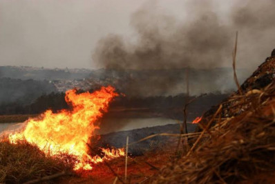 Mais de 80% dos focos de calor em SP estão em áreas de agropecuária