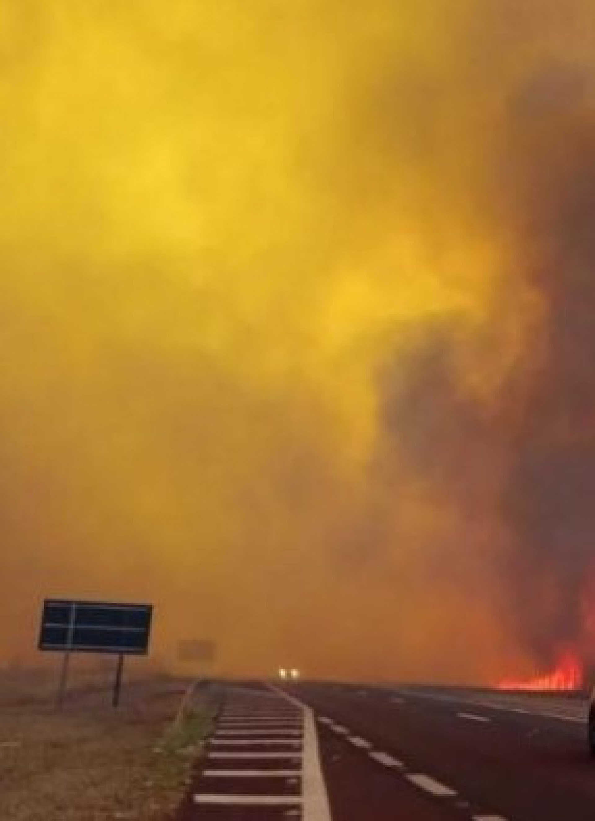 Fogo devasta São Paulo