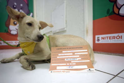 Centro recebe Ação Animal com microchipagem, vacinação e orientação veterinária