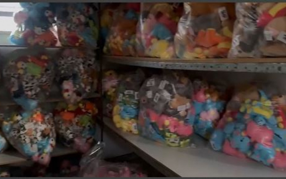 Na ação, diversos bichinhos de pelúcia foram encontrados guardados em um galpão - Reprodução