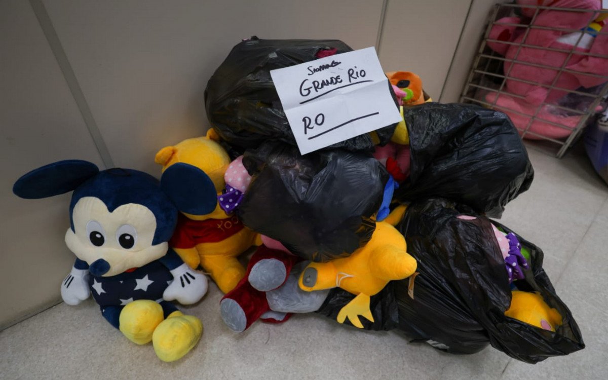 Bichinhos de pelúcia apreendidos durante operação foram encaminhados à Cidade da Polícia - Renan Areias/Agência O DIA