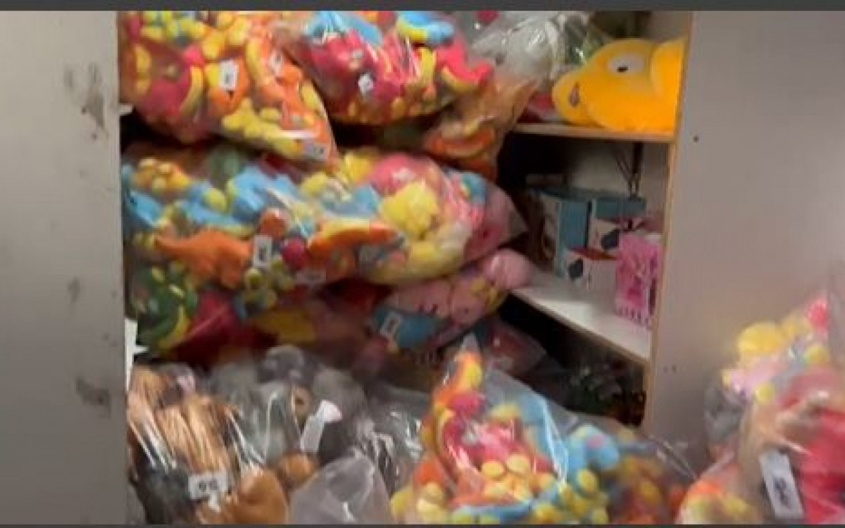 Na ação, diversos bichinhos de pelúcia foram encontrados guardados em um galpão - Reprodução