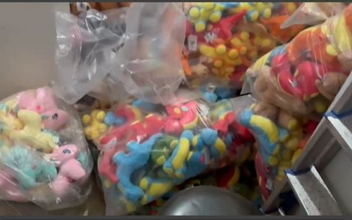 Na ação, diversos bichinhos de pelúcia foram encontrados guardados em um galpão - Reprodução