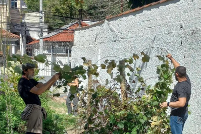 O impacto do projeto de jardinagem no Centro de Convivência da FeSaúde