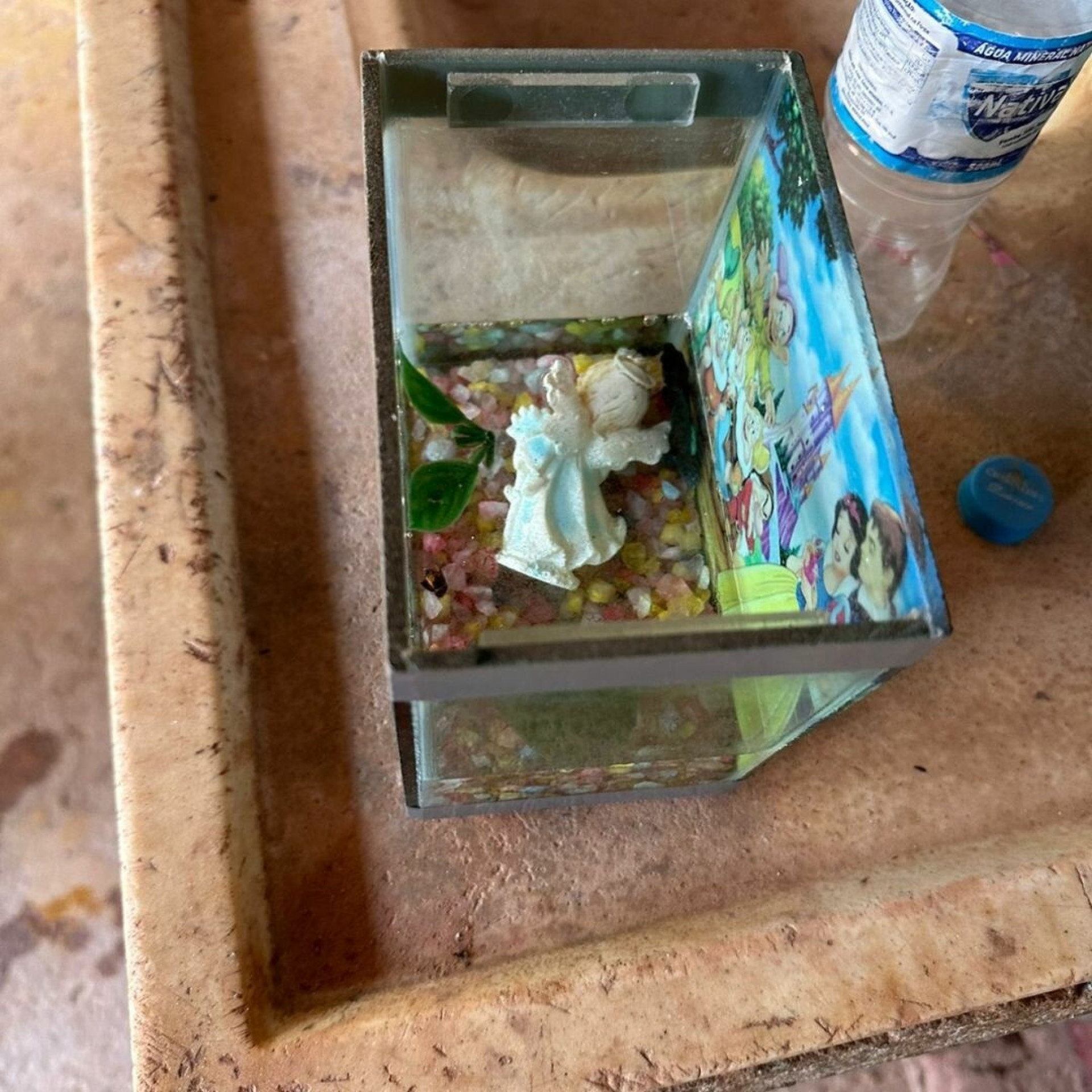 Peixe também foi abandonado no local - Divulgação