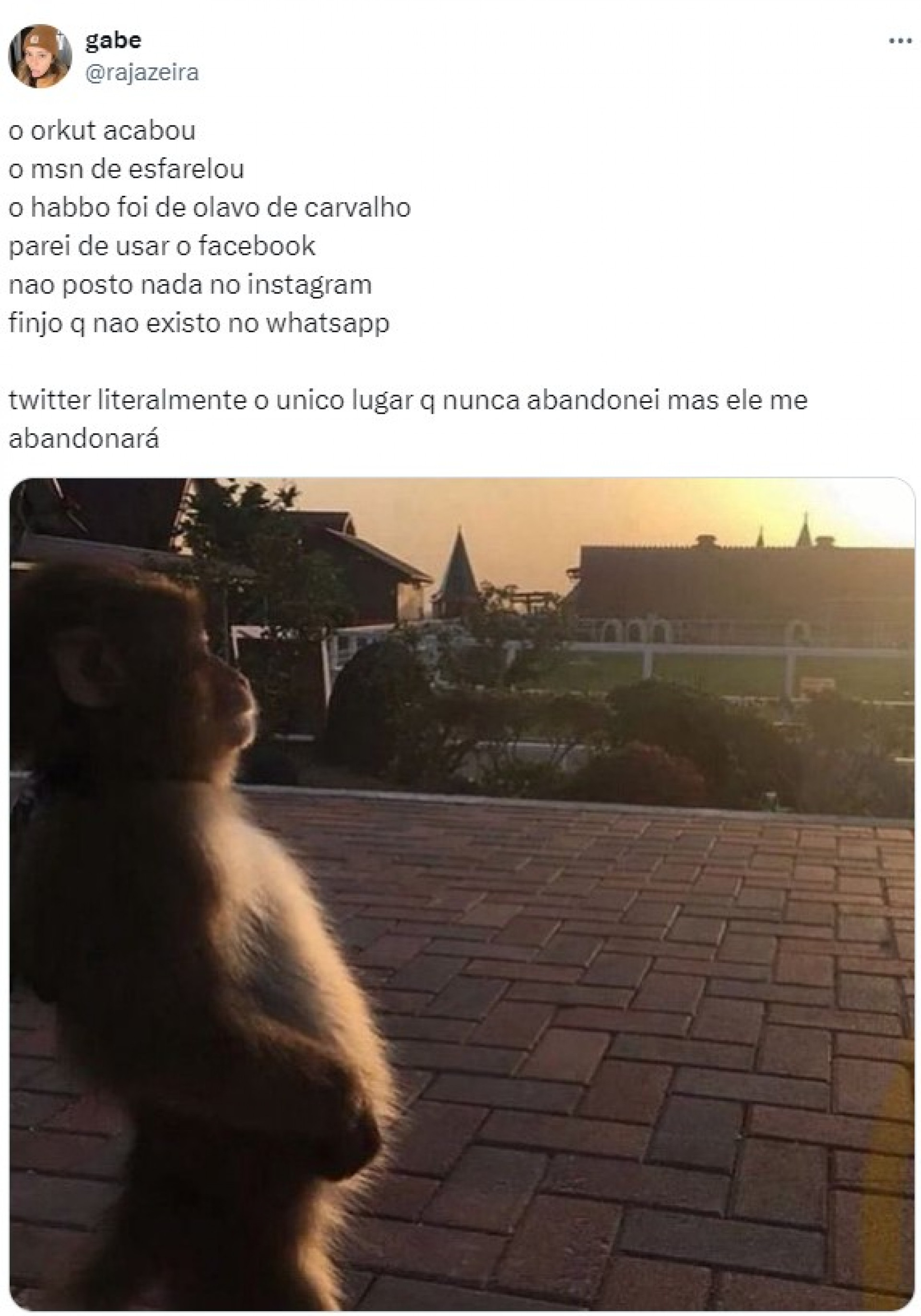 Internautas fazem meme com possível fim do Twitter (X) no Brasil - Reprodução / X