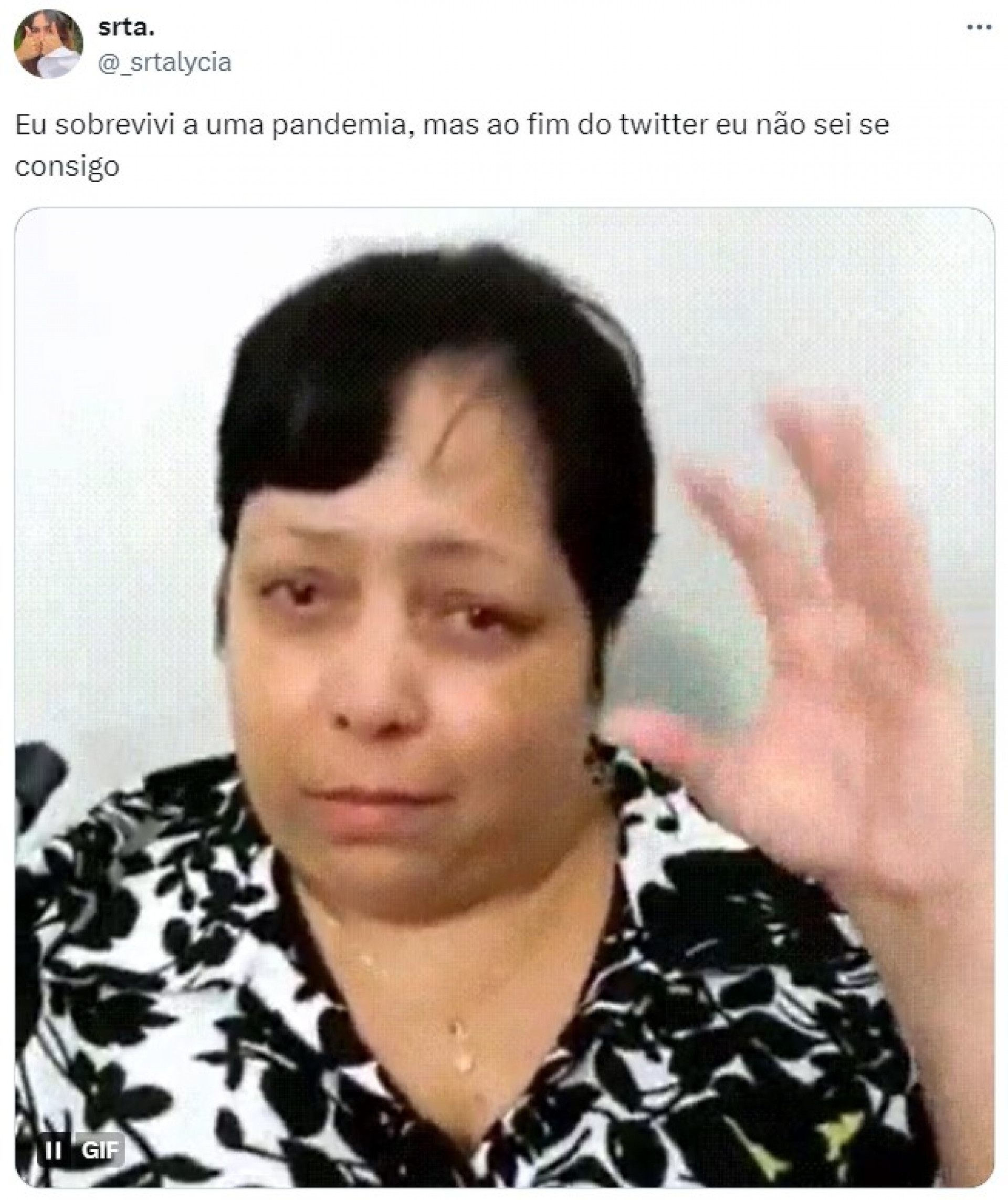 Internautas fazem meme com possível fim do Twitter (X) no Brasil - Reprodução / X