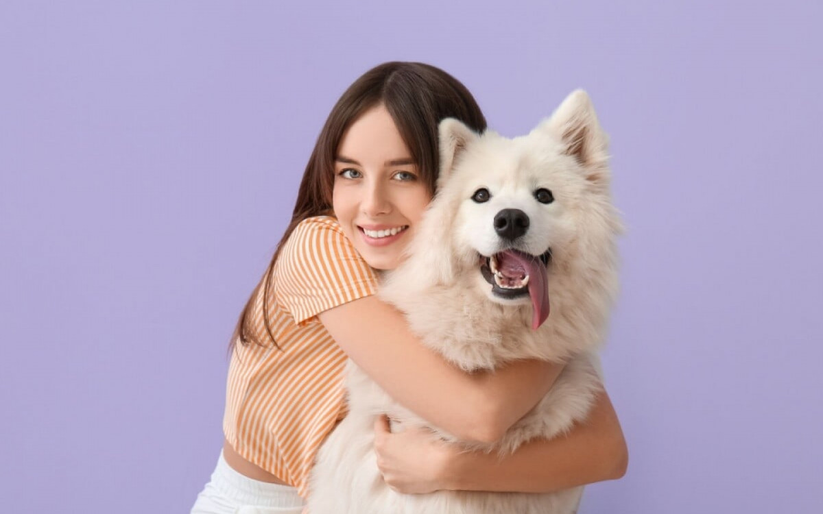 O samoieda &eacute; um cachorro amig&aacute;vel e afetuoso (Imagem: Pixel-Shot | Shutterstock)